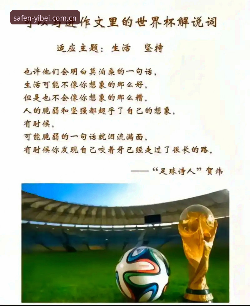 资深用户分享世界杯观赛签证困境下的易倍体育平台使用心得